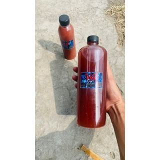 Vi sinh Psb xử lý nước hồ cá