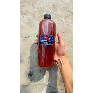 Vi sinh Psb xử lý nước hồ cá