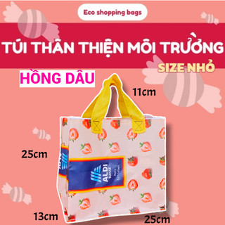 Túi tái chế thân thiện môi trường, đi chợ, đi siêu thị, chống thấm nước, lau chùi được, cỡ nhỏ, túi pp dệt