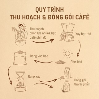 Combo cà phê bột (Robusta / Arabica) rang mộc nguyên chất 69 BUÔN MÊ