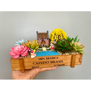 Chậu sen đá mix mô hình resort Chậu gỗ