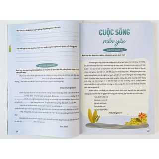Sách - Chinh phục tiếng Việt 4 (Cô Dương Hằng)