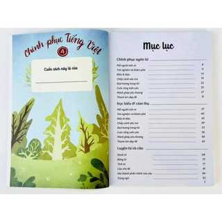 Sách - Chinh phục tiếng Việt 4 (Cô Dương Hằng)