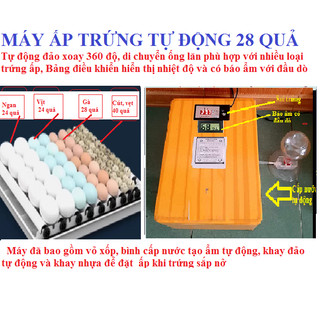 Máy ấp trứng  36 quả(full hộp xốp)