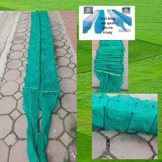 Lưới lồng mini 19 khung và 29 khung chuyên bắt lươn trạch tôm cá khung cao 15 ngang 20cm