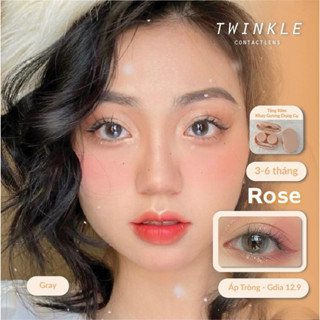 (Gdia 12.9)Kính áp tròng xám/lens mắt thời trang Rose Gray lens twinkle