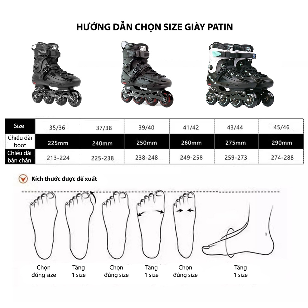 Giày patin người lớn chính hãng Centosy Flying Eagle FBS+ đi êm chân, trượt mượt