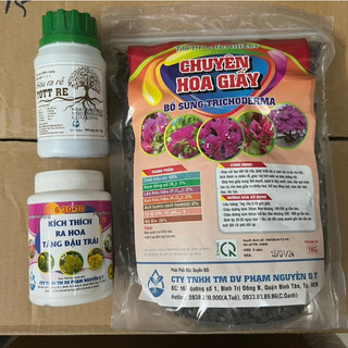 Combo chăm sóc và kích hoa giấy