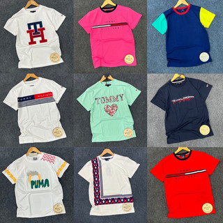 ‼️Rẻ nhất Shopee‼️Áo thun TM cotton trơn xuất khẩu