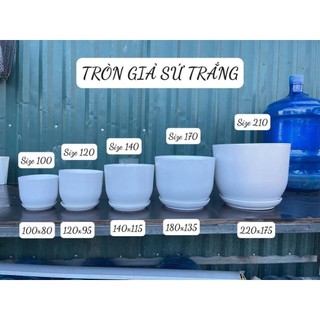 Chậu nhựa Giả Sứ Liền đĩa Trắng cao cấp
