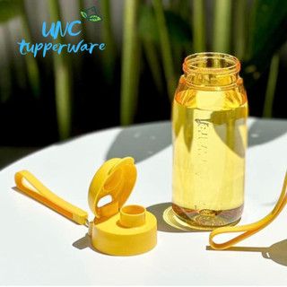 Bình nước Tupperware Lohas Flask 550ml