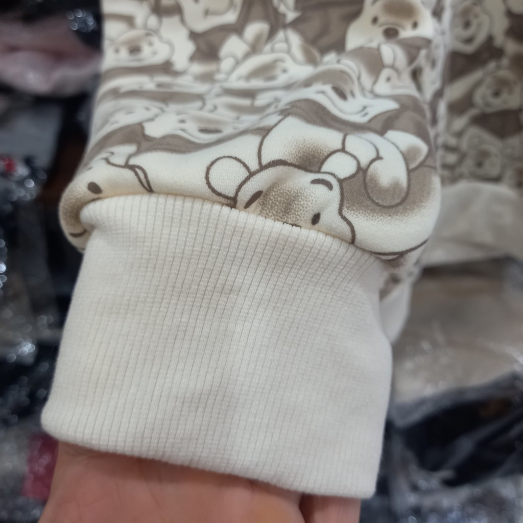 Áo Hoodie Mũ Nỉ In Hoạ Tiết Gấu Pooh Kín Thân, Form Rộng, Dày Dặn, HT359150