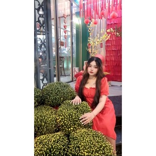 THANH LÝ ĐẦM XỐP TRỄ VAI DÁNG DÀI