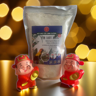 Bột dinh dưỡng cho chim cảnh Hand Feeding Food gói 500g