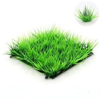 Cỏ bụi mẫu 1 (10bụi)