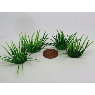 Cỏ bụi mẫu 1 (10bụi)