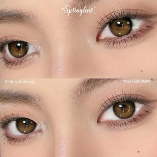 Lens phủ bóng MER BROWN hot DOUYIN (Mercury) nâu hiệu ứng có giãn | Kính áp tròng @spring.lens