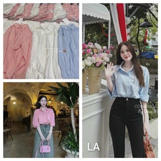 Áo sơmi trơn túi ngực hàng QCL1