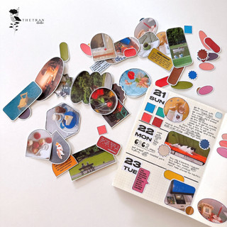 Bộ 50 sticker nghệ thuật nhiều màu sắc / nevertheless sticker pack / thetranstudio