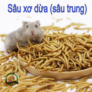 Sâu trung xơ dừa sấy khô, thức ăn vặt hamster/sóc/gà