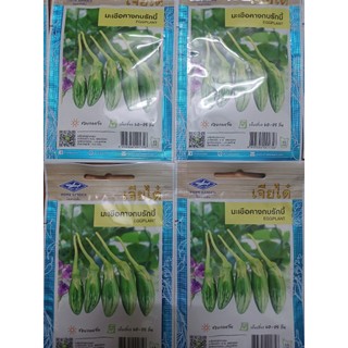 Hạt giống cà dừa xanh sọc hình ovan nhập khẩu thái lan nguyên bao bì