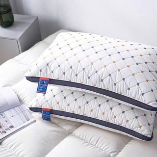 2 Chiếc Ruột gối bông trần trám Tú Uyên Bedding