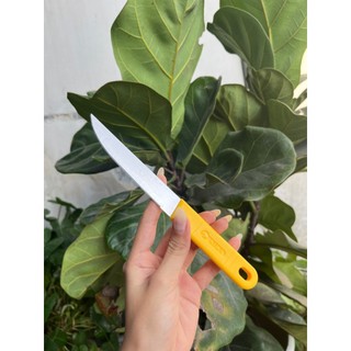 Dao thái lan cán vàng gọt rau củ