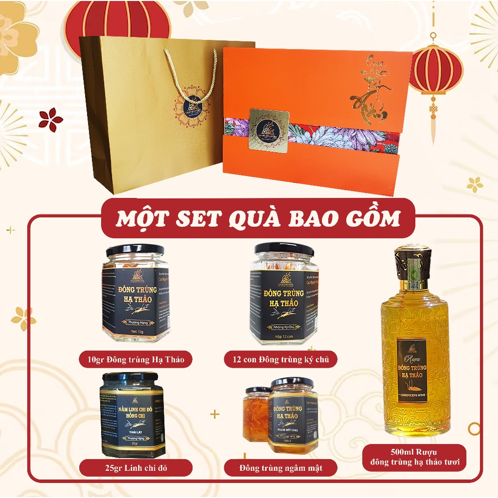 Đông trùng hạ thảo hữu cơ, hộp quà tặng cao cấp, Dalat Cordyceps