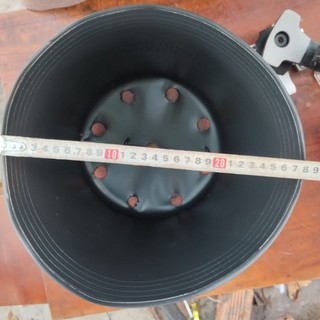 100 cái C11A Chậu nhựa đen