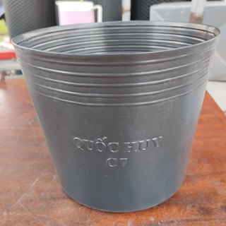 Chậu nhựa đen C7 nhỏ (500 cái)