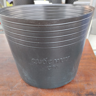 Chậu nhựa đen C9 lớn