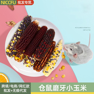 Bắp mini mài răng cho hamster, sóc, thỏ. Bắp cho hamster