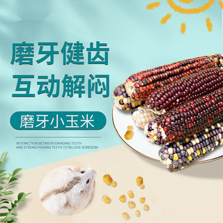 Bắp mini mài răng cho hamster, sóc, thỏ. Bắp cho hamster