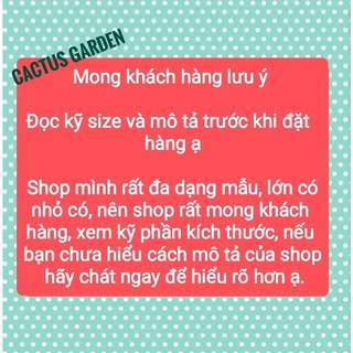 Chậu xi măng bé hoa sen