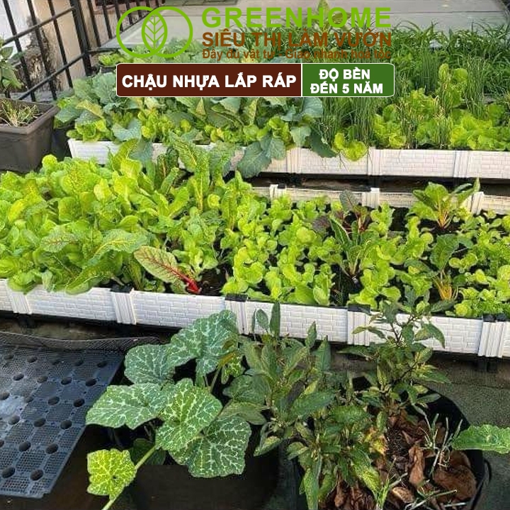 Chậu Trồng Cây Greenhome, Nhựa Nguyên Sinh Lắp Ráp, D40xR40xC22cm, Trồng Hoa Hồng, Rau, Củ, Quả, Độ Bền 5 Năm