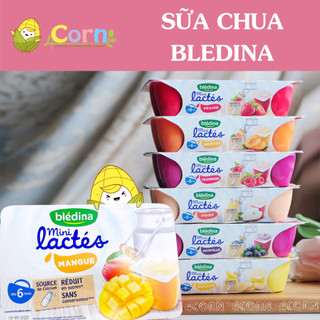 Sữa chua nguội Bledina Pháp - Cho bé 6m+