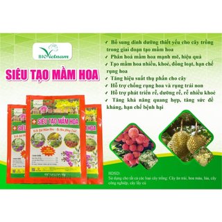 [Combo mua 10 tặng 1] Phân bón Siêu Tạo Mầm Hoa X2 Chitosan kích ra hoa đồng loạt - Gói 25g