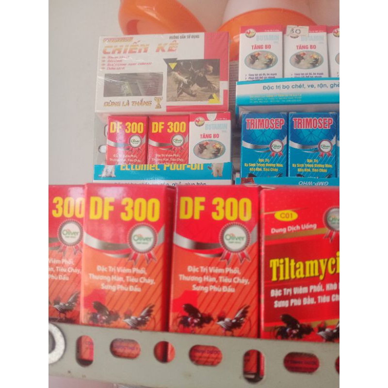 DF 300 gà đá