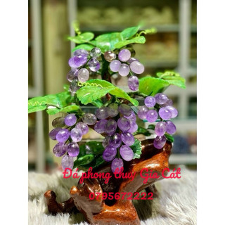 Cây nho đá thach anh phong thuỷ đủ màu tím xanh hồng đẹp kiểm định