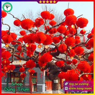 COMBO 10 Đèn Lồng Đỏ trang trí Tết chữ Phúc chất liệu chống nước