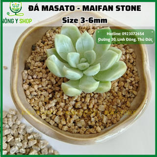á Khoáng Masato, maifan Túi  1kg, size 3-6mm, Rải Mặt, Kích Rễ, Giúp Sen Đá Lên Màu Nhanh, dùng cho xương rồng, bonsai