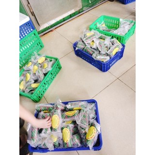 GIÒ BÊ Nghệ An