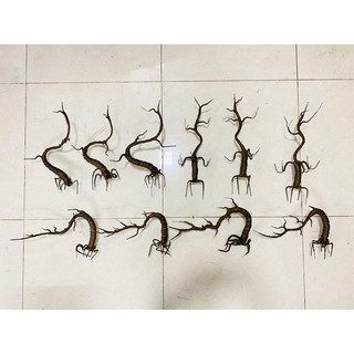 Gốc bonsai, thân cây giả làm cây hoa hồng, hoa mai, hoa đào Tết
