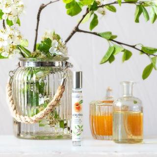 Nước Hoa Mộng Mơ Manufaktura