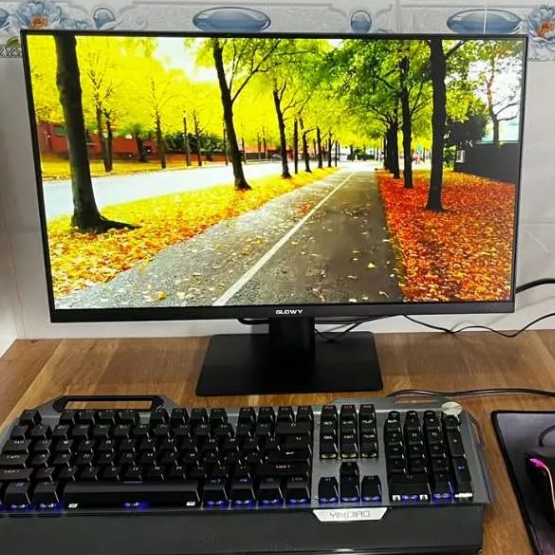 Màn Hình Máy Tính Cây Để Bàn 20", 22", 24" Inch Độ Phân Giải FullHD 1920 x 1080 Chơi Game Thiết Kế Đồ Họa - CGO Computer | BigBuy360 - bigbuy360.vn