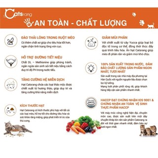 Hạt Catsrang Cho Mèo Mọi Lứa Tuổi
