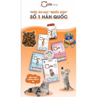 Hạt Catsrang Cho Mèo Mọi Lứa Tuổi