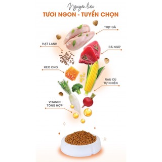 Hạt Catsrang Cho Mèo Mọi Lứa Tuổi