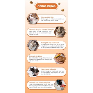 Hạt Catsrang Cho Mèo Mọi Lứa Tuổi