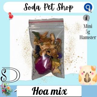 Hoa Mix Cho Hamster